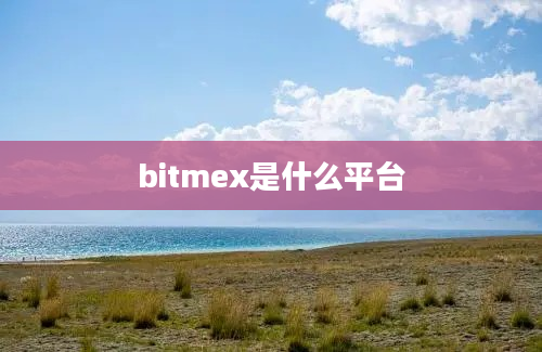 bitmex是什么平台