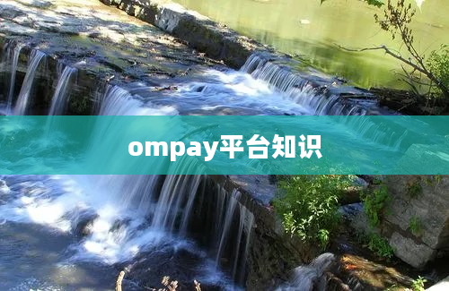 ompay平台知识