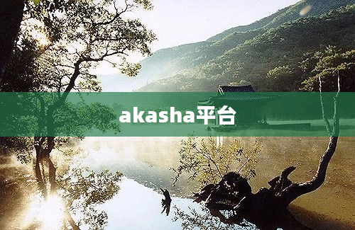 akasha平台