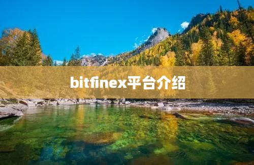 bitfinex平台介绍
