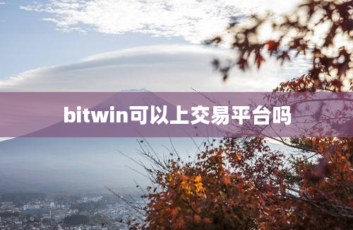 bitwin可以上交易平台吗