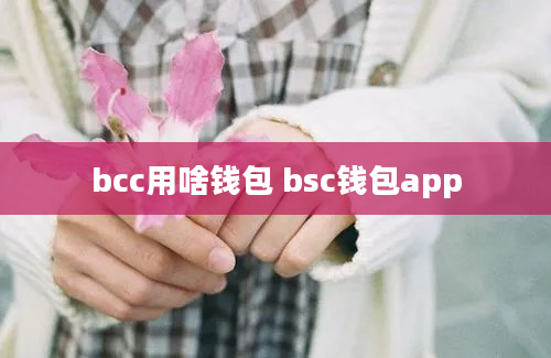bcc用啥钱包 bsc钱包app