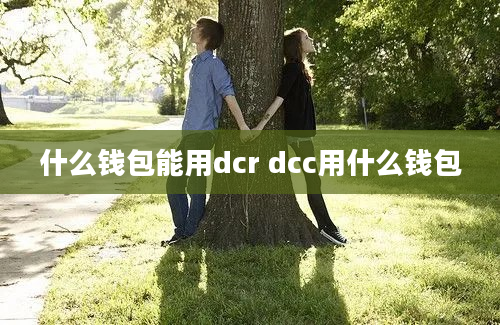 什么钱包能用dcr dcc用什么钱包