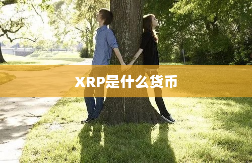 XRP是什么货币