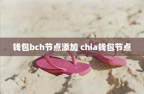 钱包bch节点添加 chia钱包节点