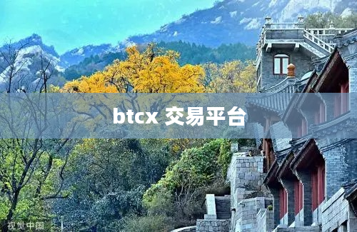 btcx 交易平台