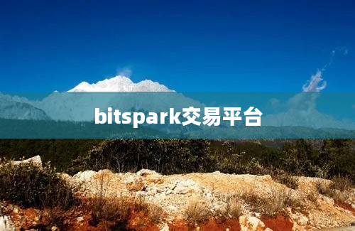 bitspark交易平台