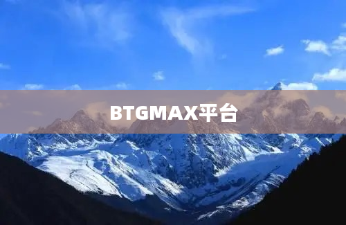 BTGMAX平台
