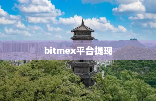 bitmex平台提现