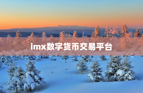 imx数字货币交易平台