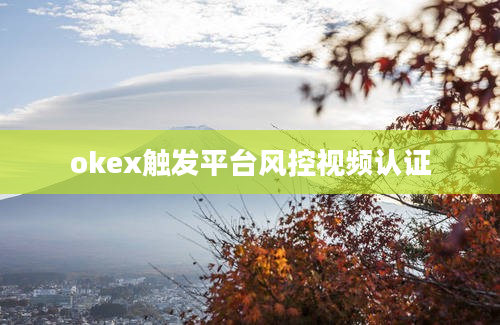 okex触发平台风控视频认证