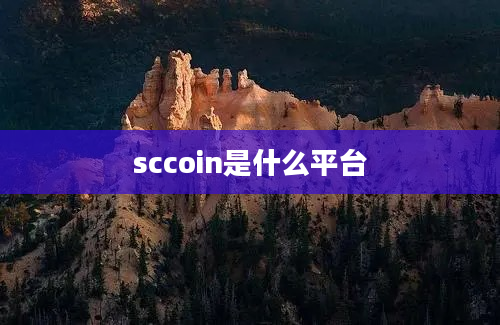sccoin是什么平台