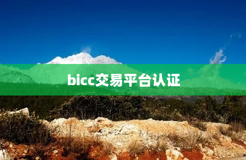bicc交易平台认证
