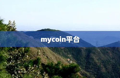 mycoin平台
