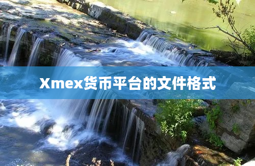 Xmex货币平台的文件格式