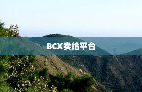 BCX卖给平台