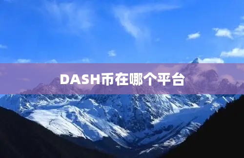 DASH币在哪个平台