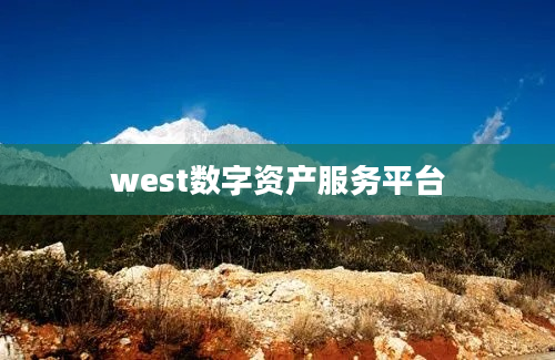 west数字资产服务平台