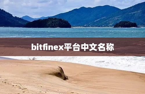 bitfinex平台中文名称
