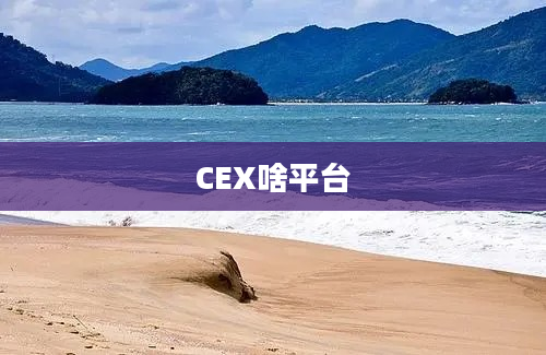 CEX啥平台