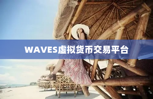 WAVES虚拟货币交易平台