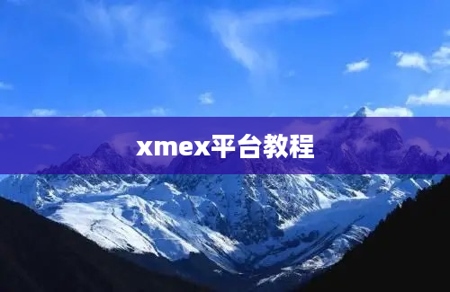 xmex平台教程