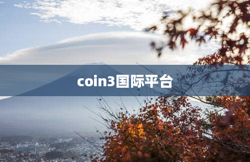 coin3国际平台