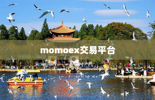 momoex交易平台