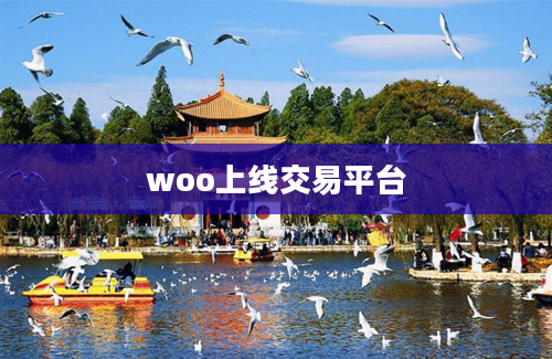 woo上线交易平台
