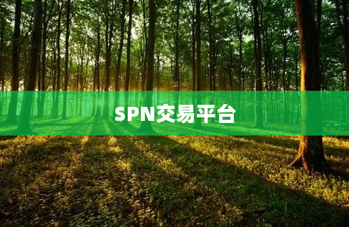 SPN交易平台