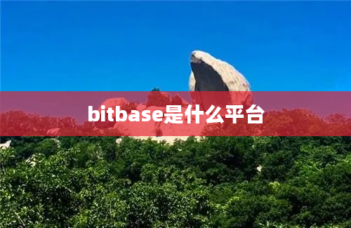 bitbase是什么平台