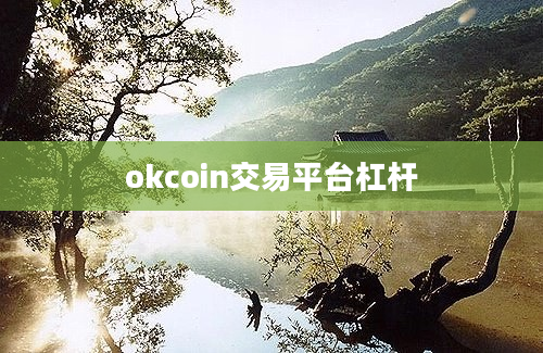 okcoin交易平台杠杆