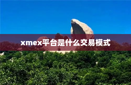 xmex平台是什么交易模式