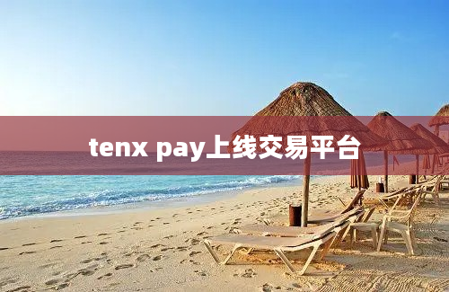 tenx pay上线交易平台