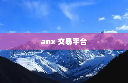 anx 交易平台