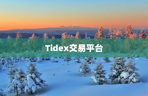 Tidex交易平台