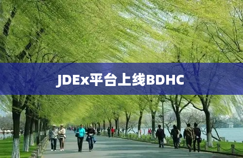 JDEx平台上线BDHC