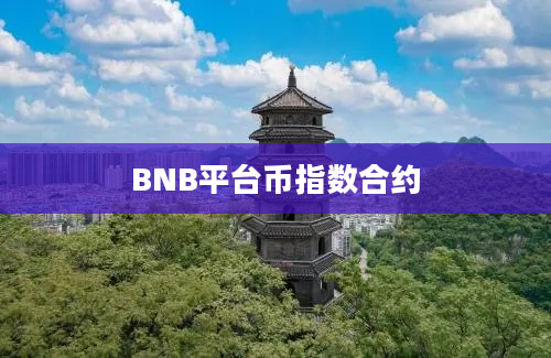 BNB平台币指数合约