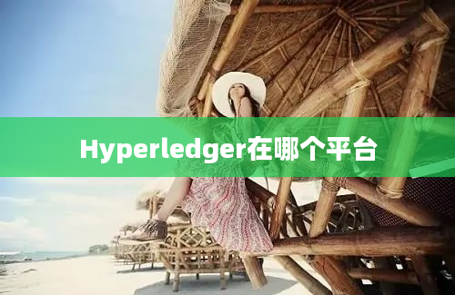 Hyperledger在哪个平台