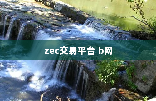 zec交易平台 b网