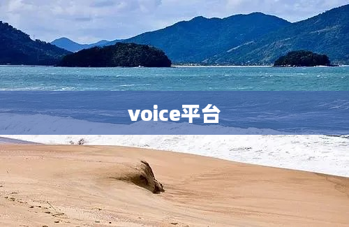 voice平台