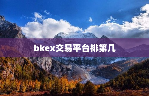 bkex交易平台排第几