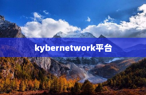 kybernetwork平台