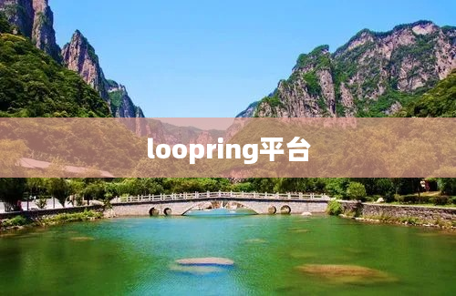 loopring平台