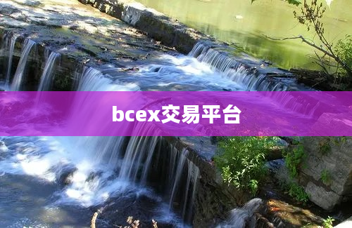 bcex交易平台