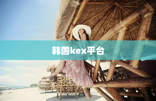 韩国kex平台