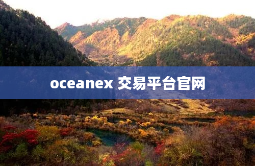oceanex 交易平台官网