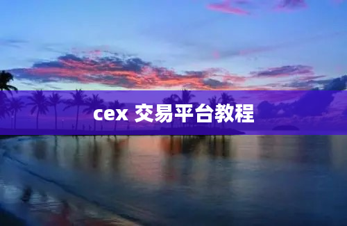 cex 交易平台教程