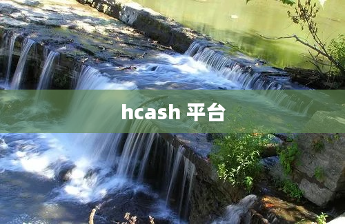 hcash 平台