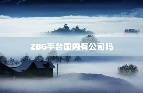 ZBG平台国内有公司吗